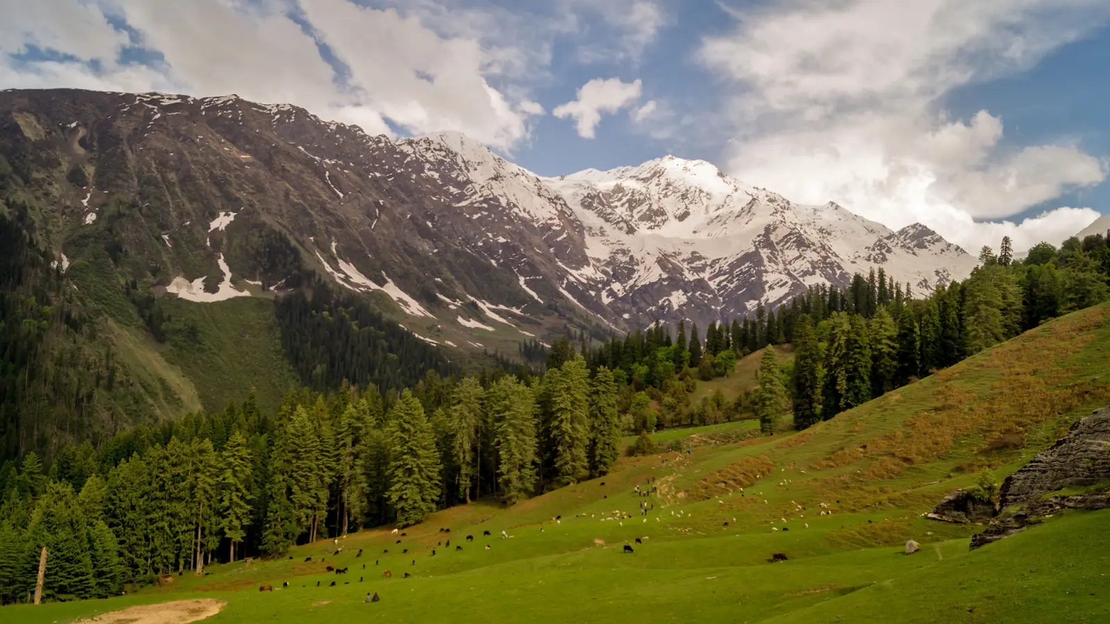 The Great Himalayan National Park